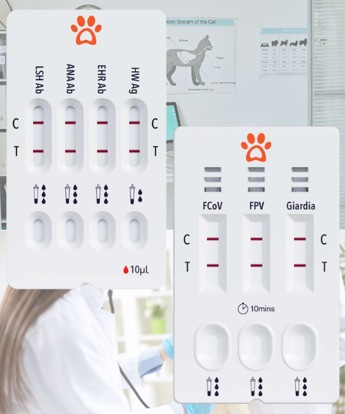 Veterinärmedizin